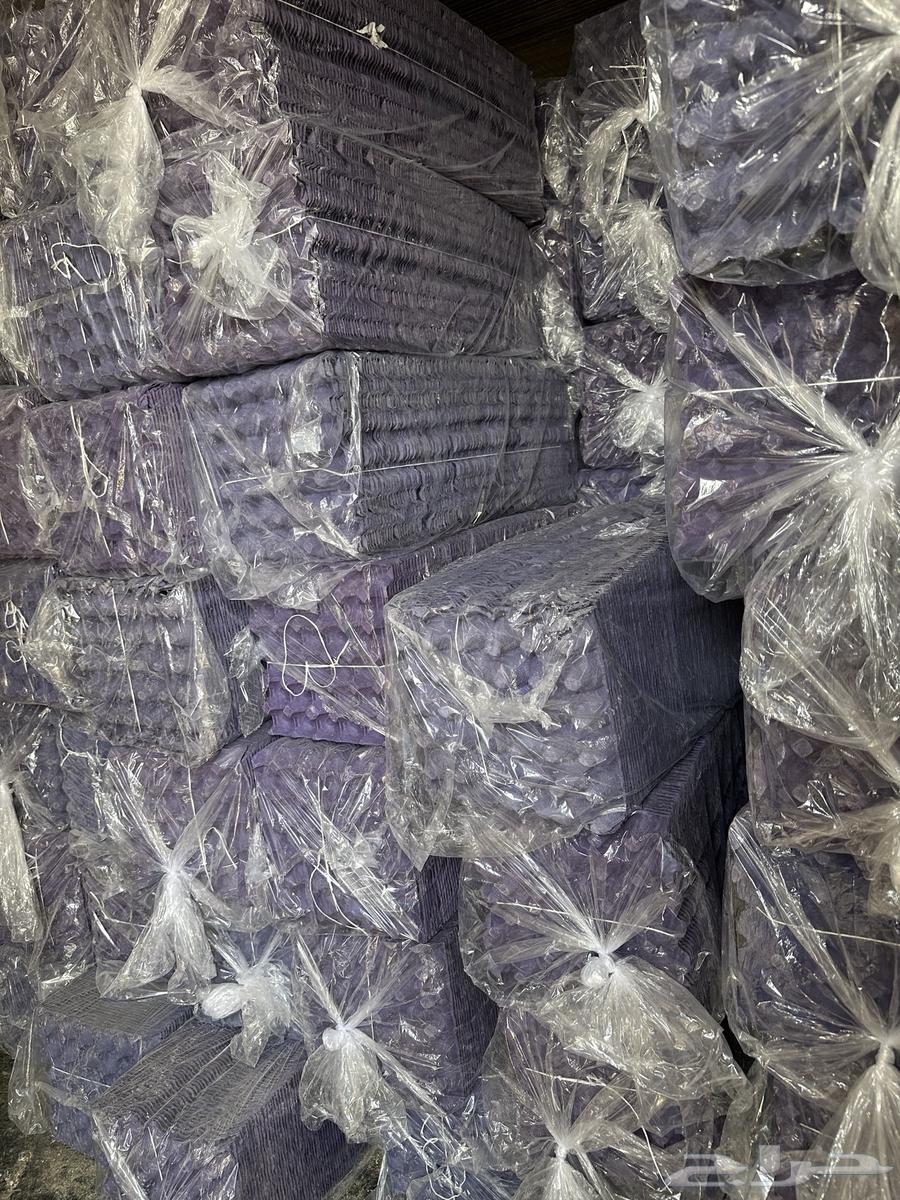 يتوفر اطباق بيض نظيفة جدا64439904231810111