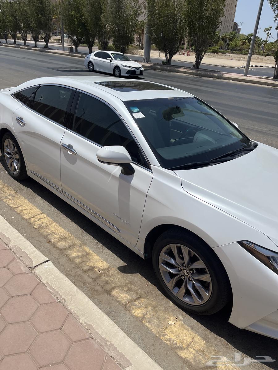 Avalon 202164596772702082113