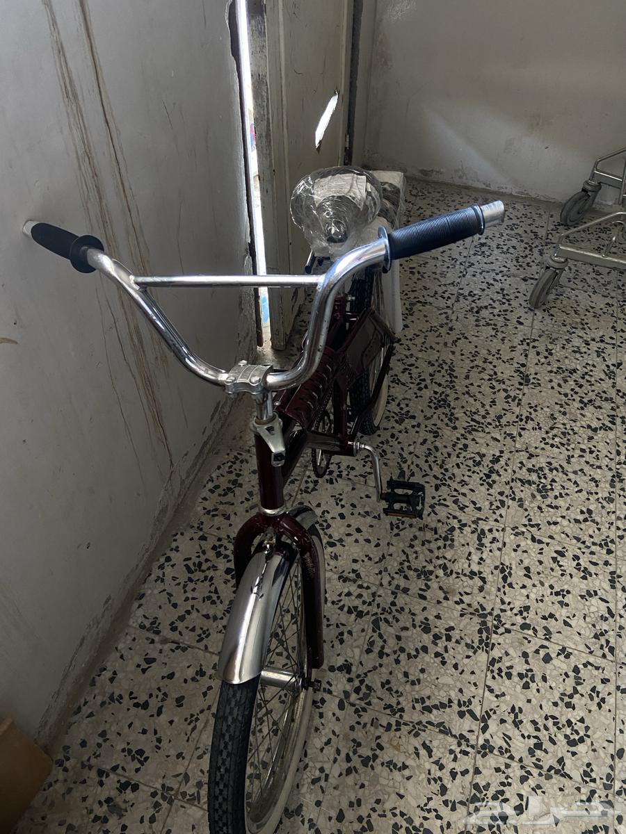 الأحساء الهفوف64436038183043112