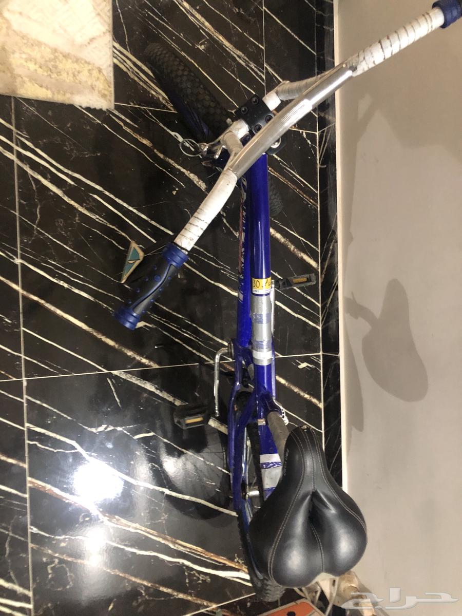 Cobra bicycle64433766781186111