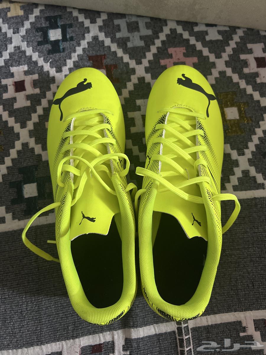 New shoe size 42, price 150, urgent64438391608449110