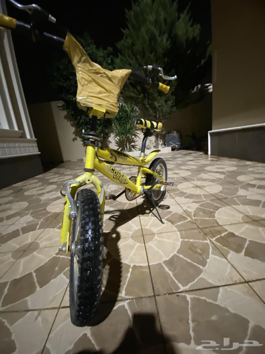 سيكل كوبرا نظيف المقاس 1664438123302401112