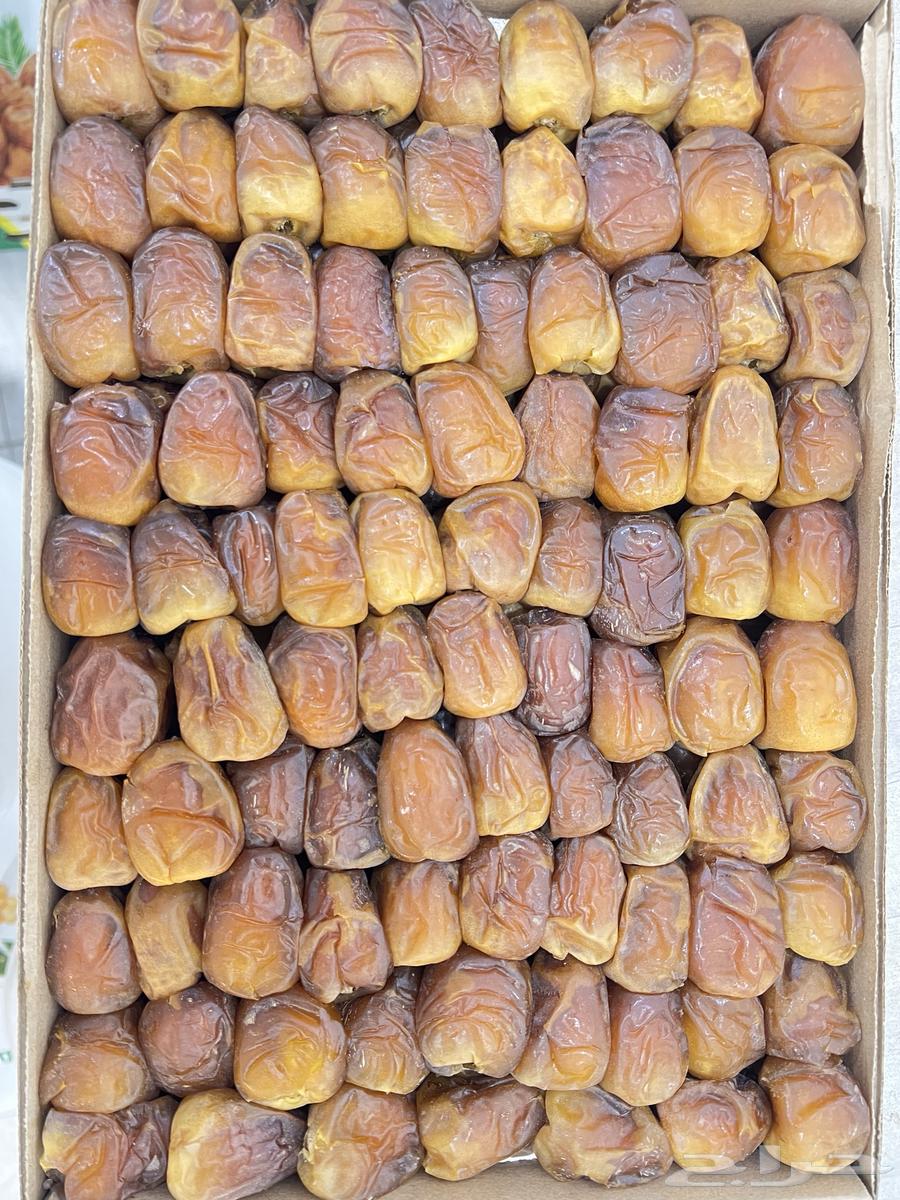 Hail Sugar Date64441540207490110