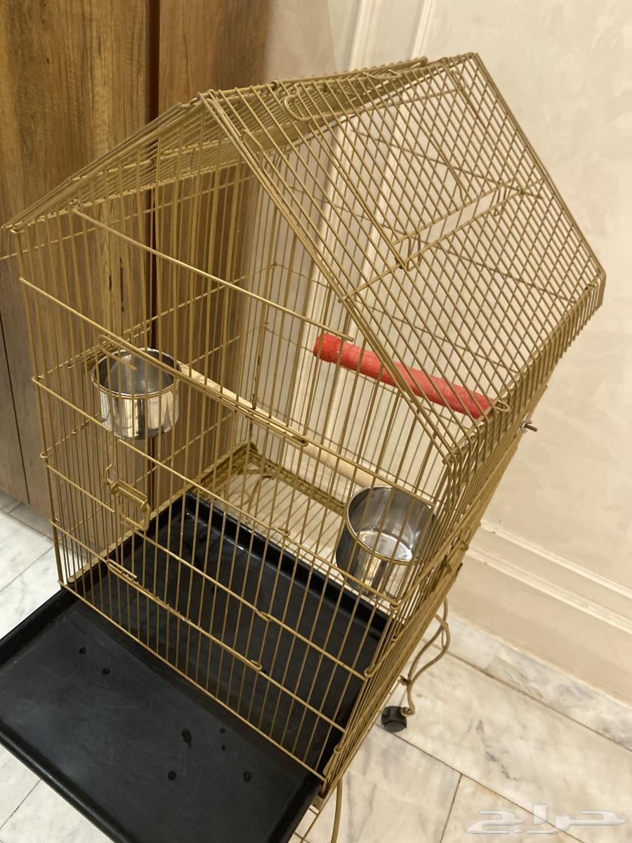 قفص ببغاء كبير64438780108417112