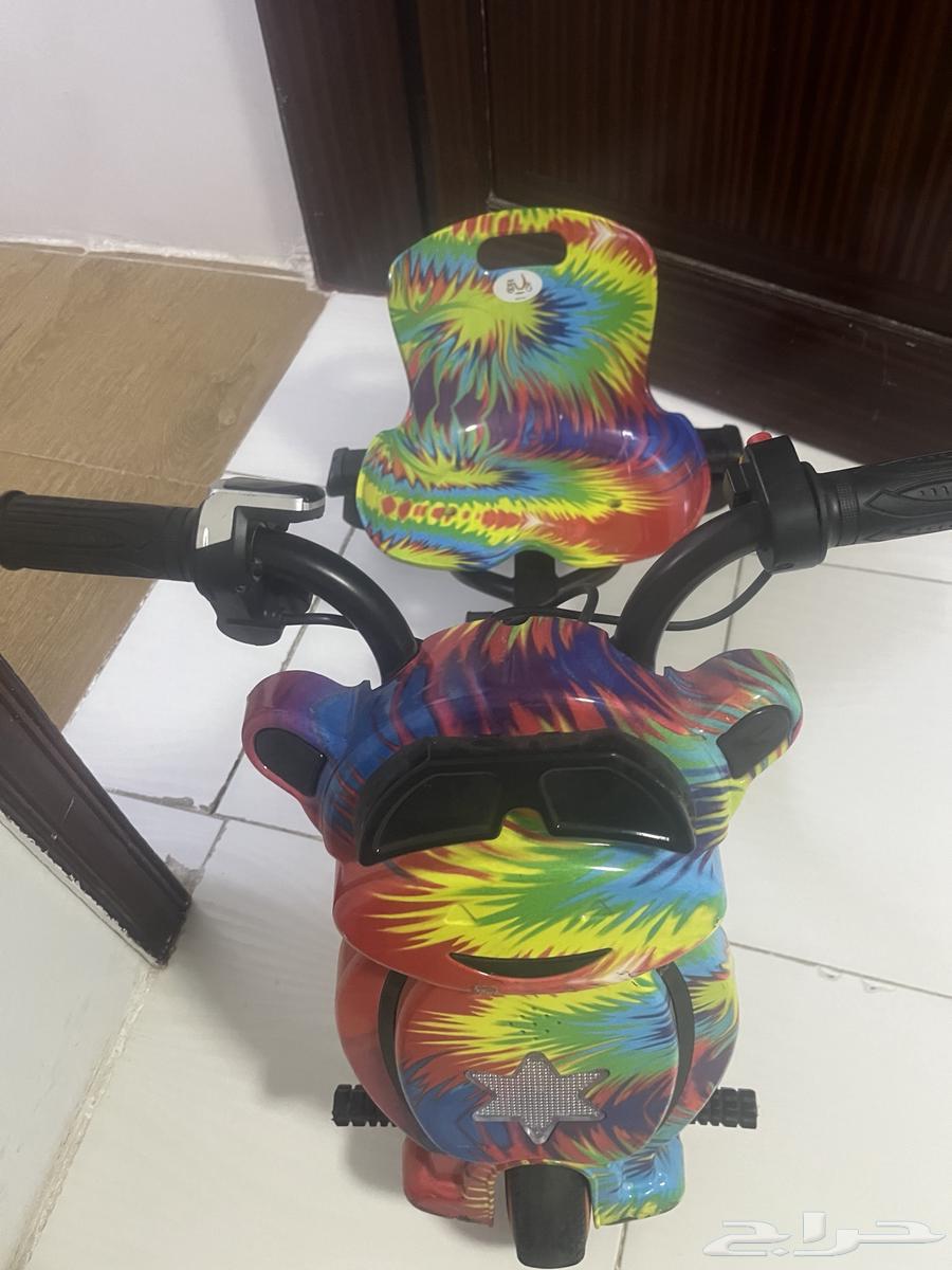 بحرة المجاهدين64437894789889110