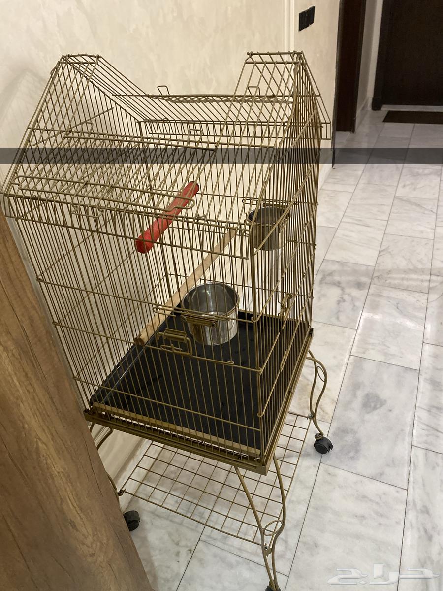 قفص ببغاء كبير64438780108417111