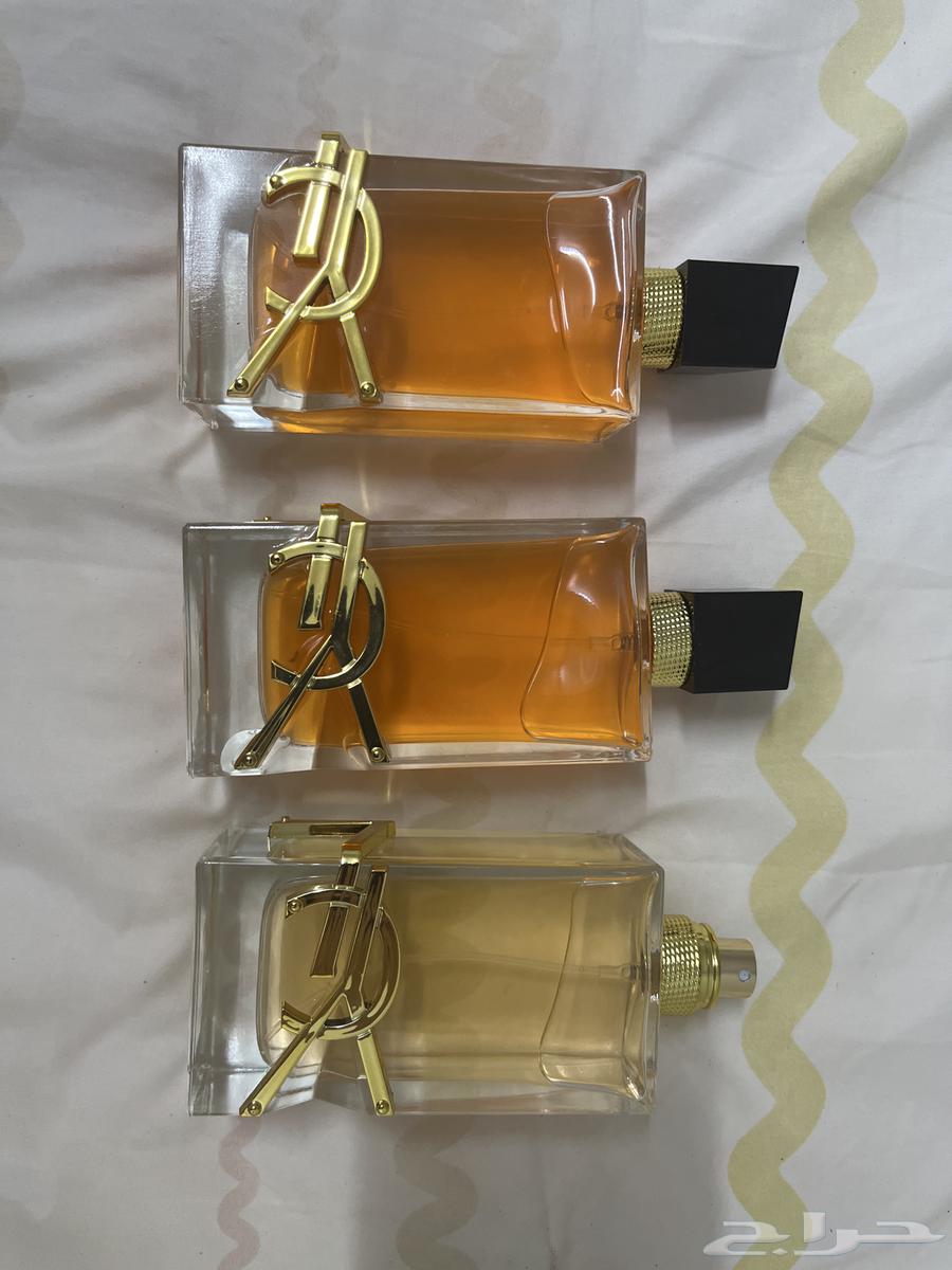 Master Perfumes64440901164162111