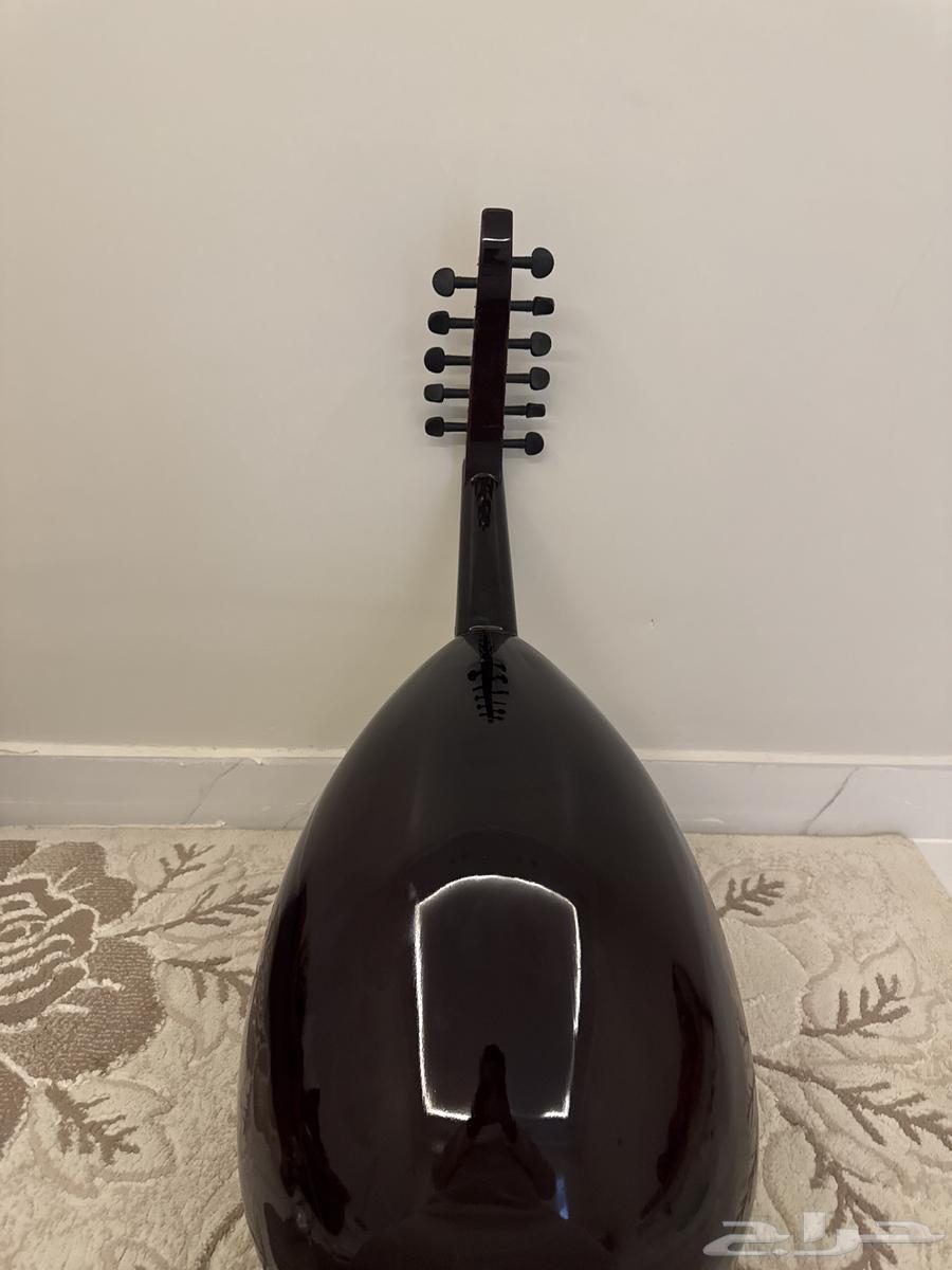 عود للبيع64437720029825114