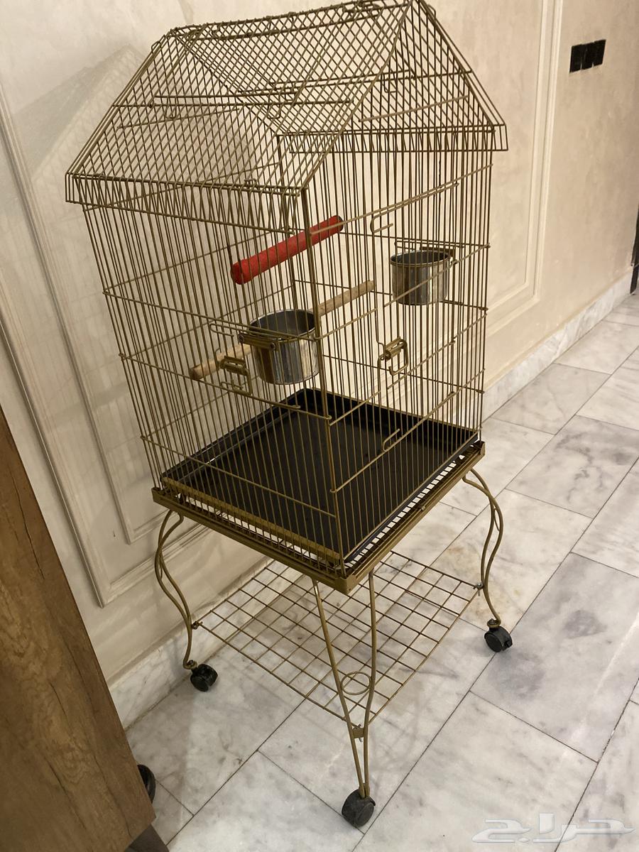 قفص ببغاء كبير64438780108417110