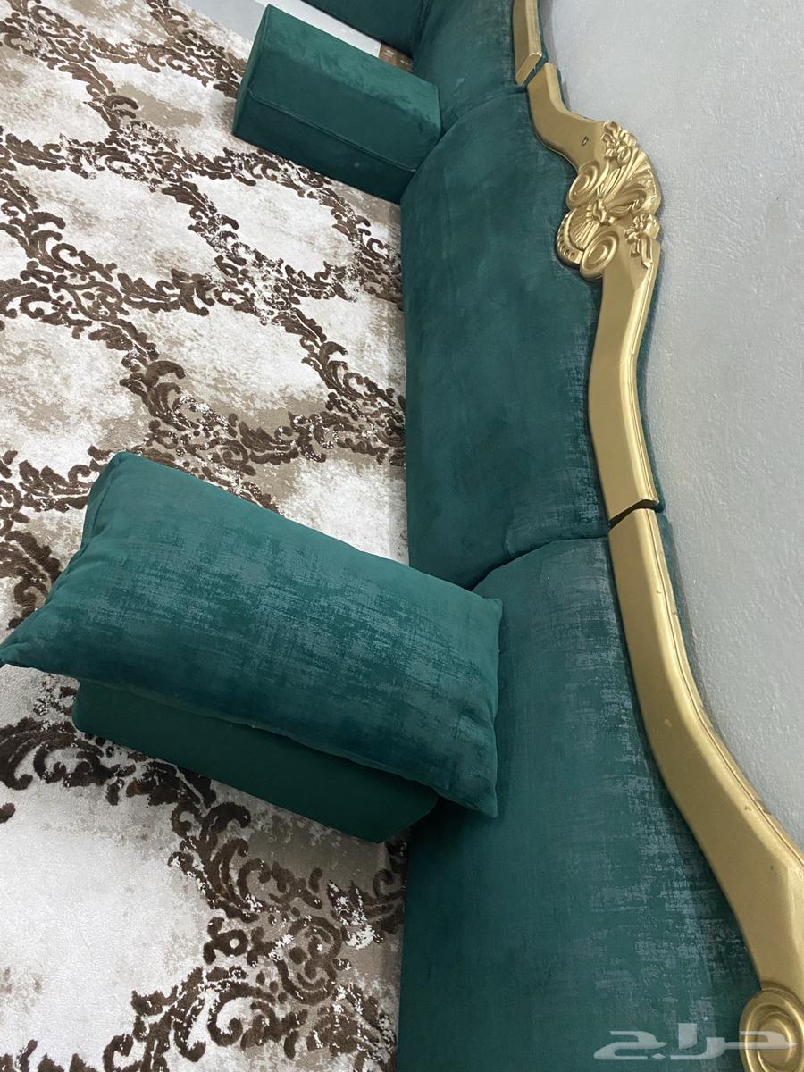 New brother's support for sale on installment only 170 riyals, comes three directions64433633157123111