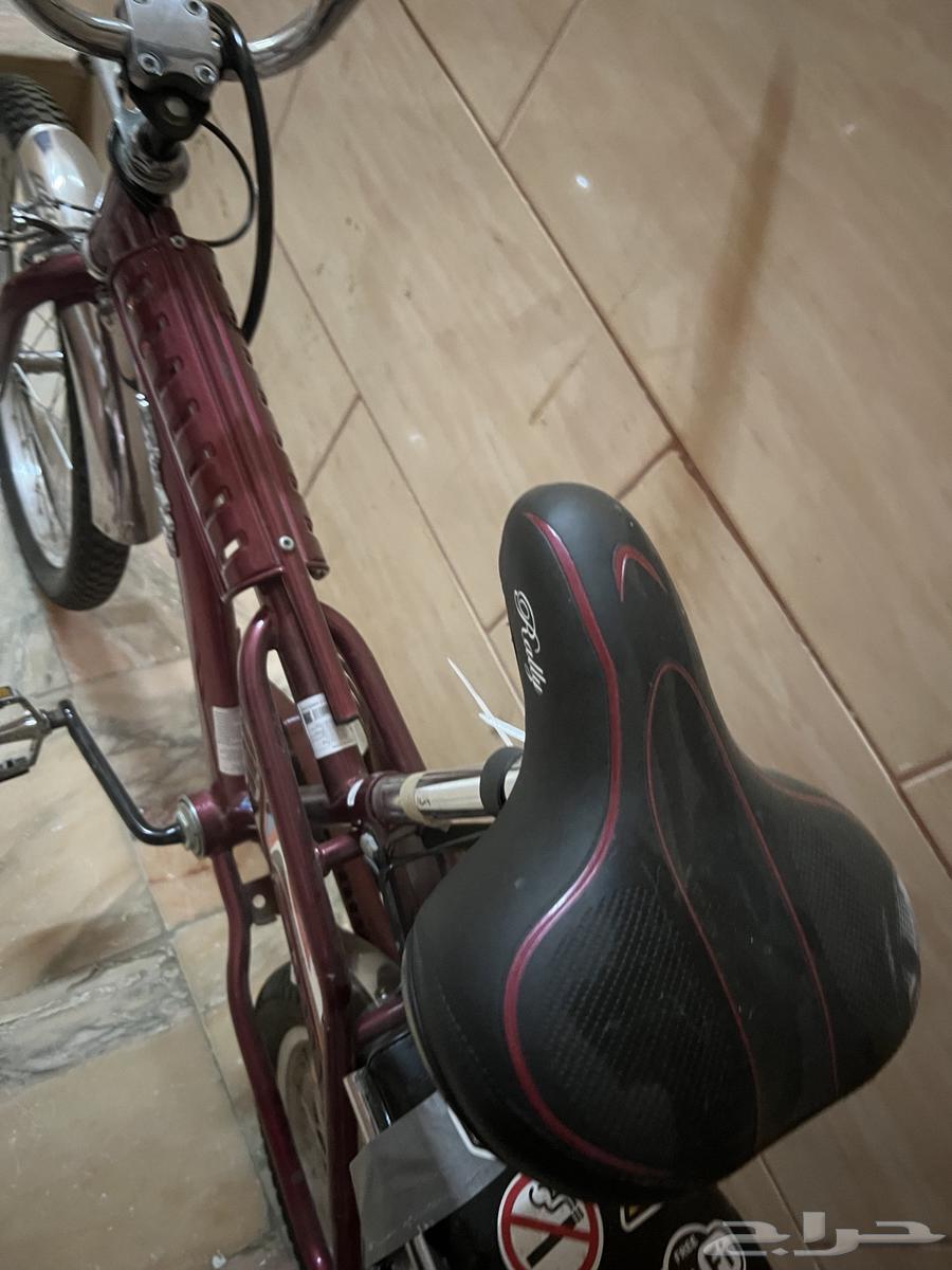 رامبو عنابي مقاس 2064439788651267113