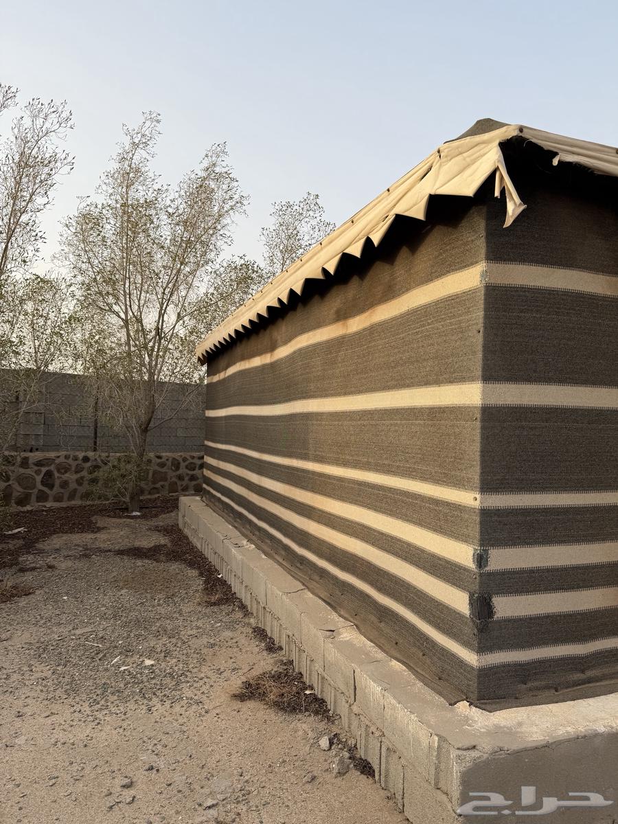 بيت شعر بكامل أثاثه للبيع64440887674242111