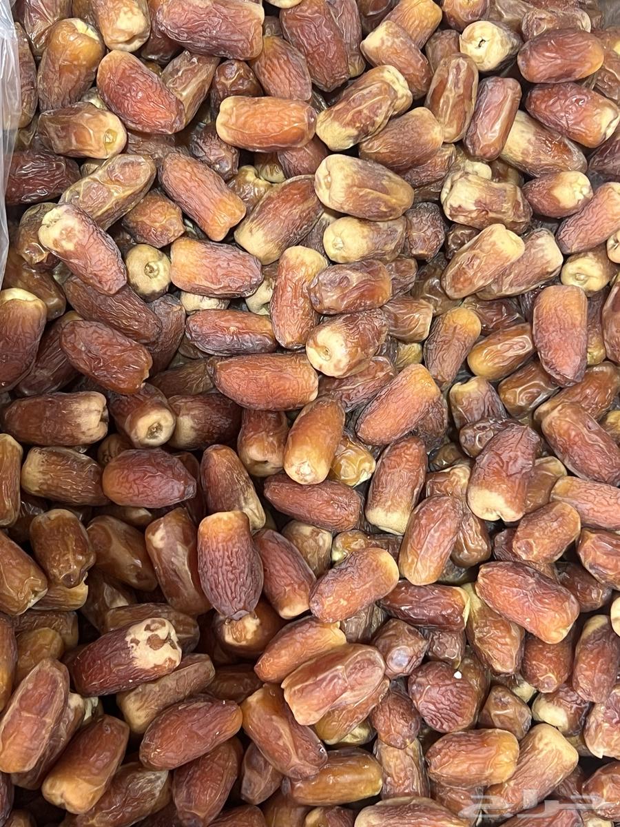 صقعي اليوم وصل حياكم الله64436051683969110