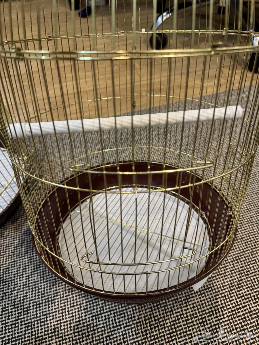Two cages for 70 SAR, clean64437463315841112