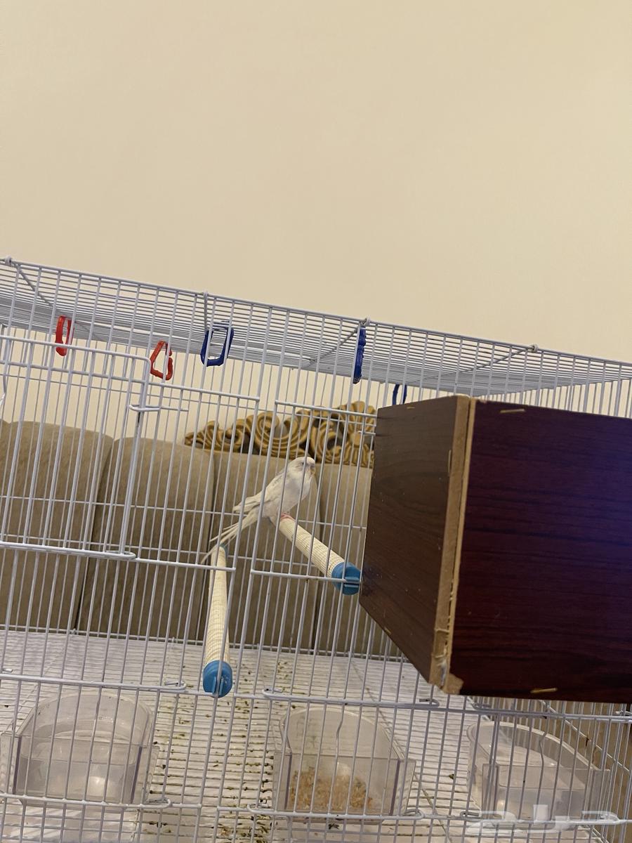 Various items64439527991555113