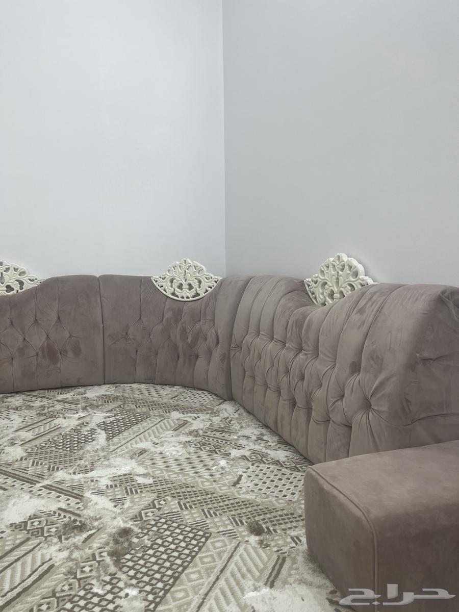 Clean back support64441718634627111