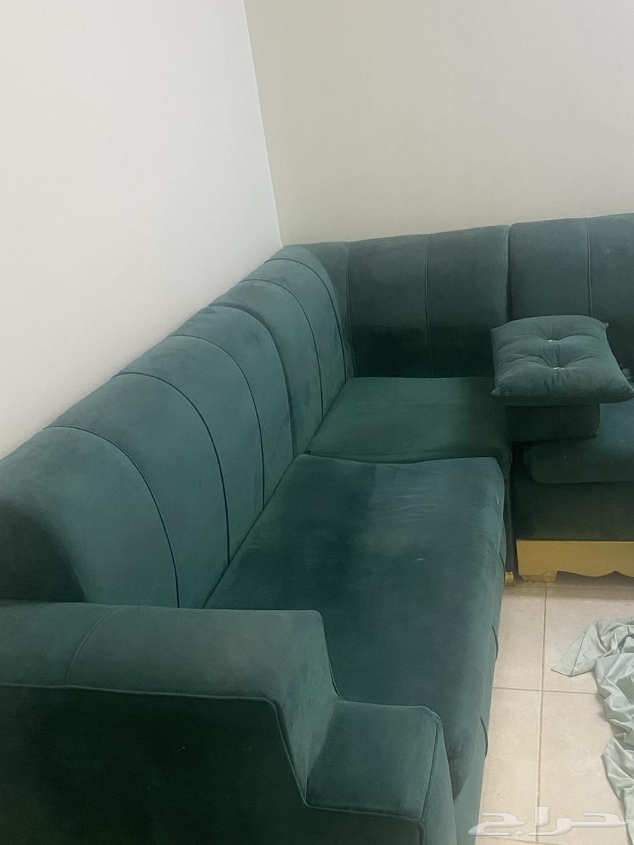 كنب للبيع بحاله ممتازة جدا64436722066563110