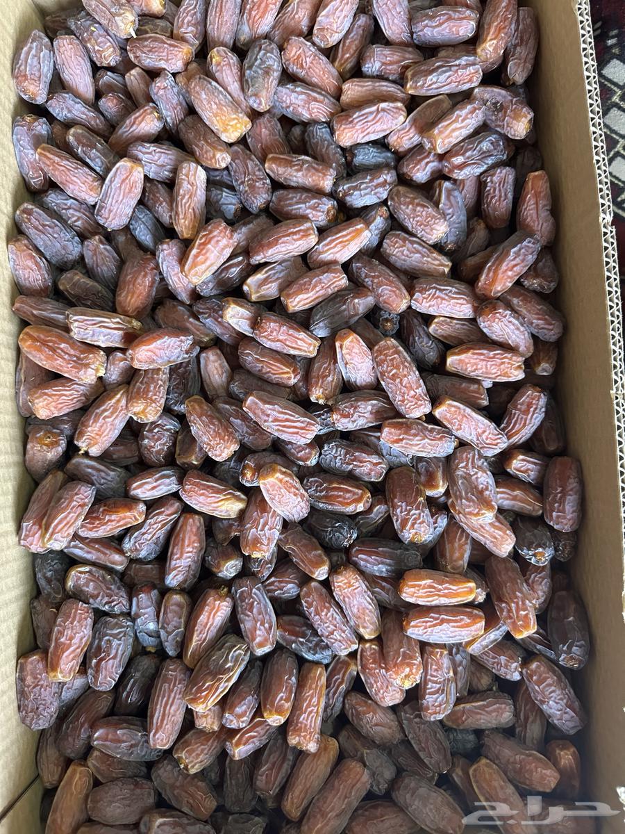 Palm64438511893891111