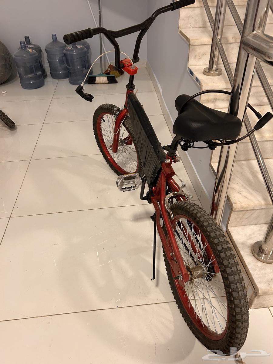 Cobra bicycle64441377593219111