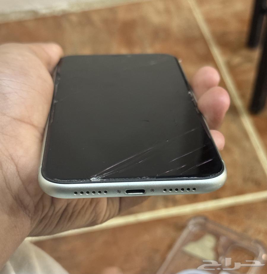 Hello, we are offering a regular iPhone 11 for 55064441705121794110