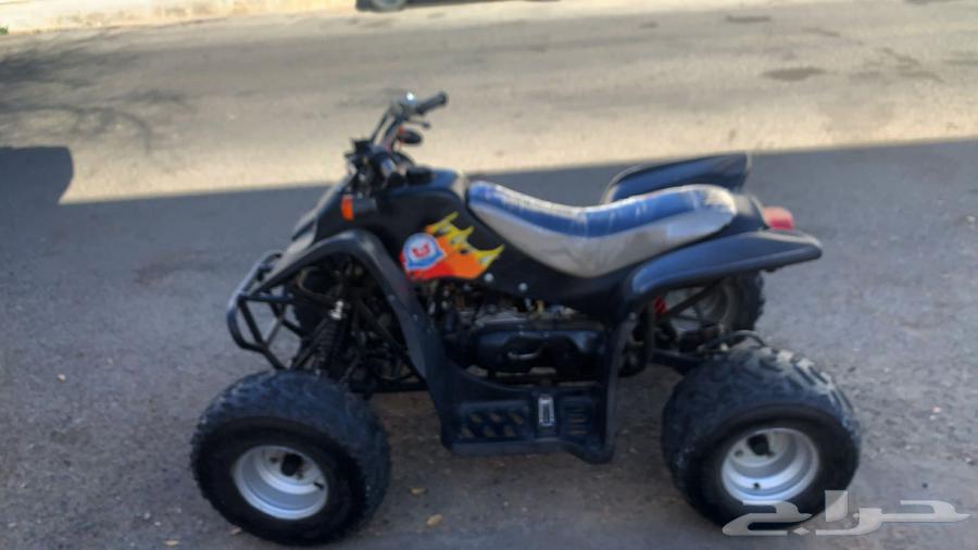 دباب سويدي للبيع مقاس 11064598474450945112