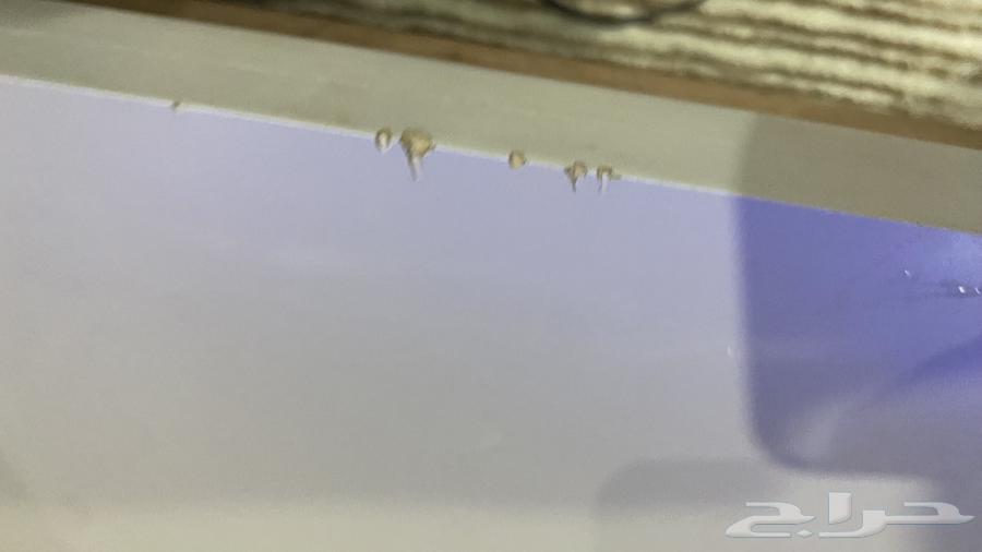 TV table64441280755843111