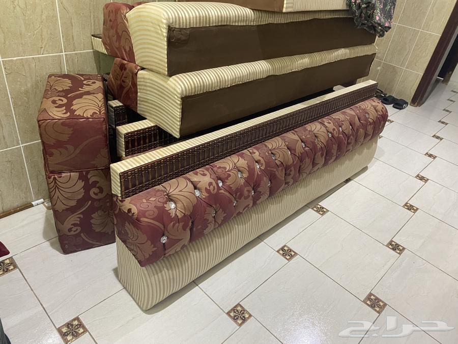 Back support64436803137026110