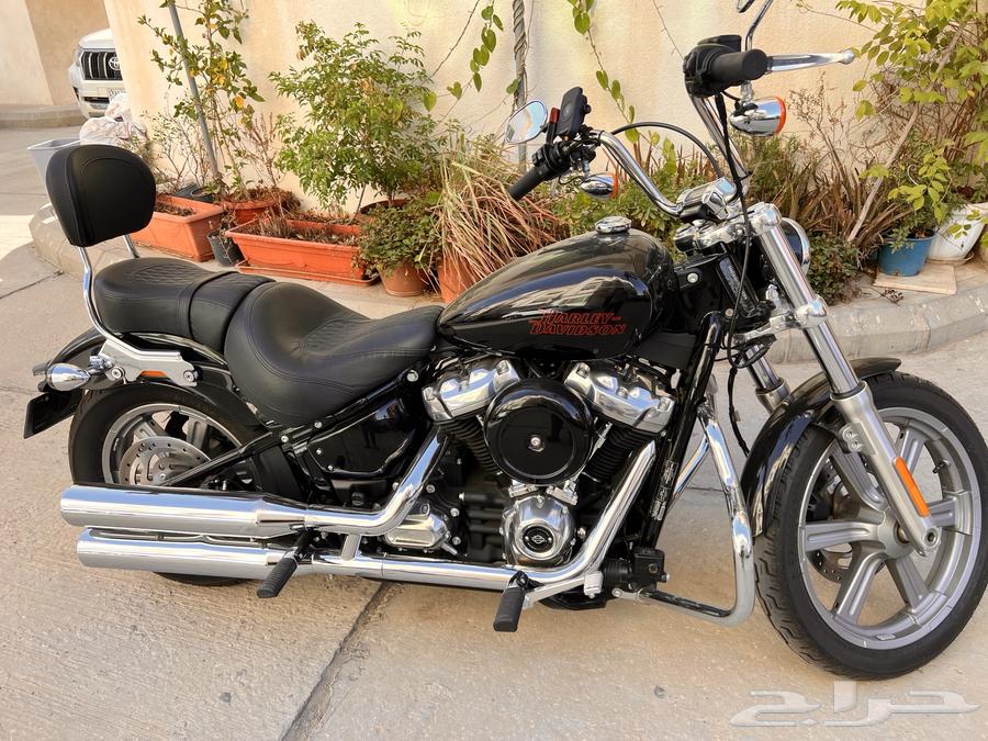 بيع هارلي ديفيدسون سوفتيل ستاندرد FXST 202364596895114753110
