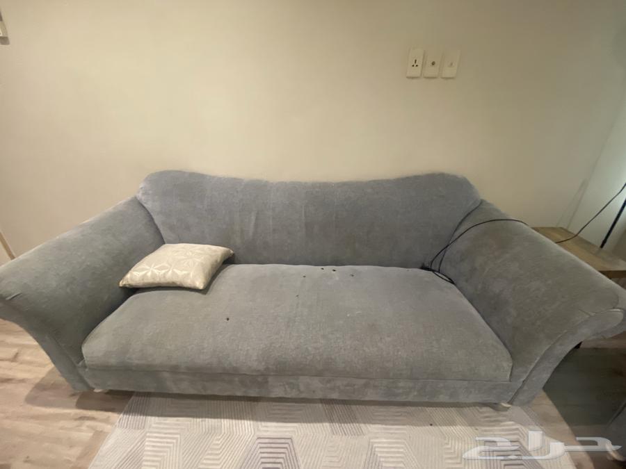 صوفتين للبيع64436320024834111