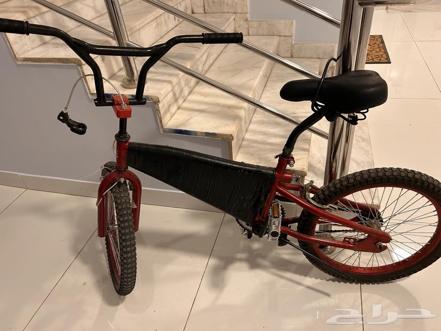 Cobra bicycle64441377593219110