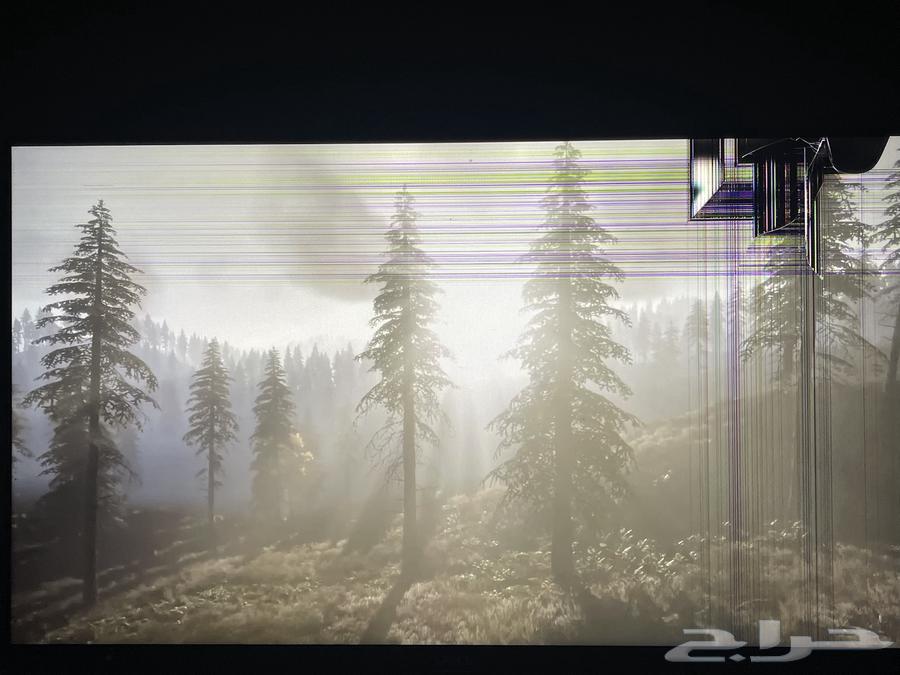 شاشة DELL (24 بوصه)64426577773057113