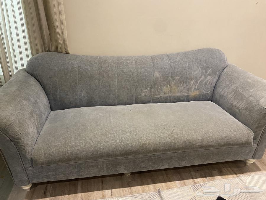 صوفتين للبيع64436320024834110