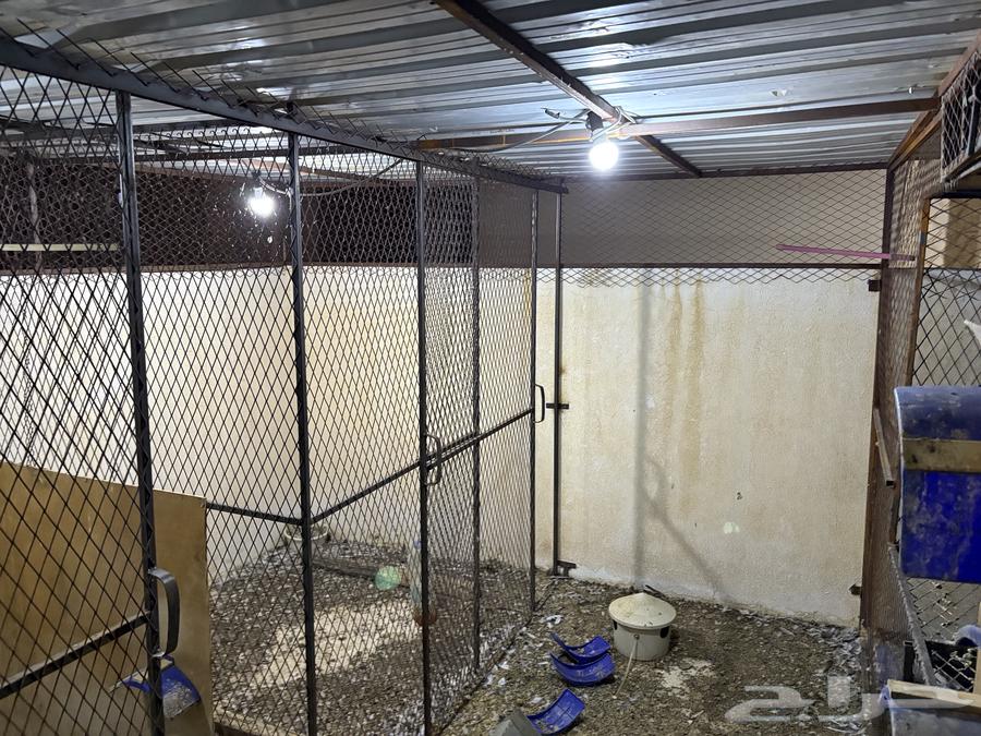 For sale mesh64441869280515112