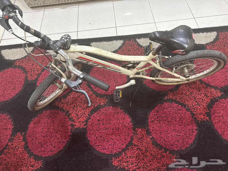 Bicycle64440056449538111