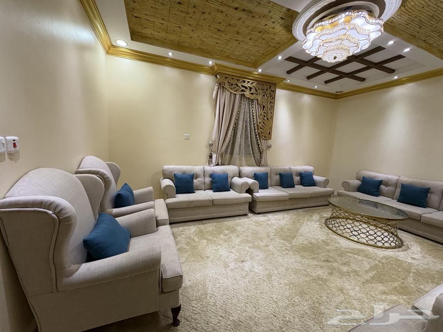 كنب منفصل استخدام نظيف64434497647362111