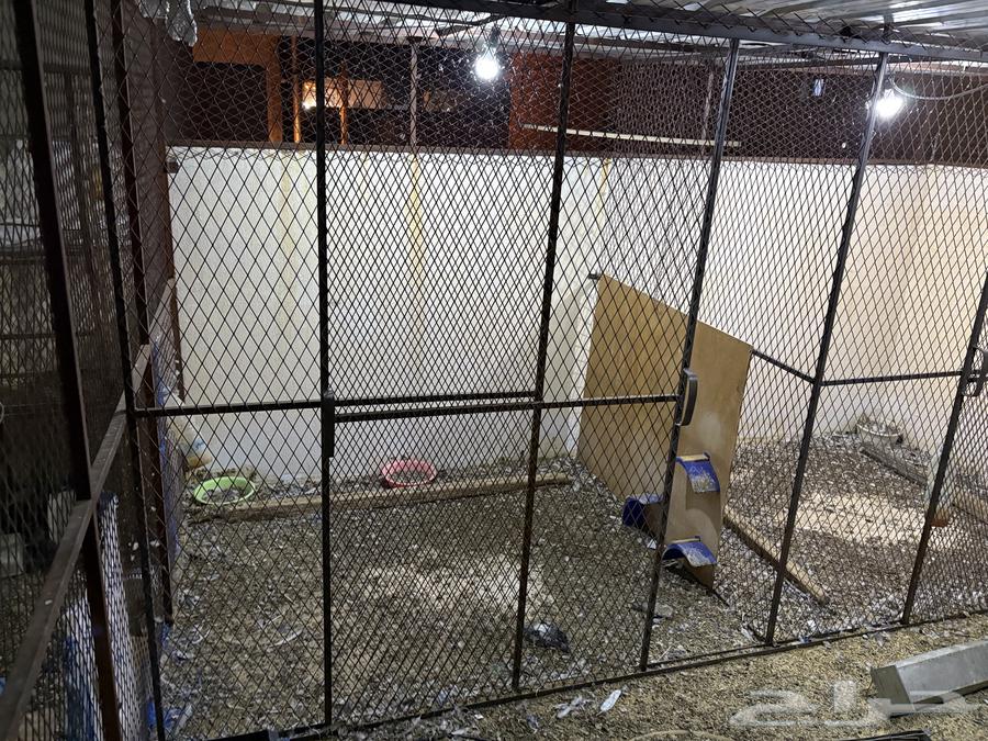 For sale mesh64441869280515111