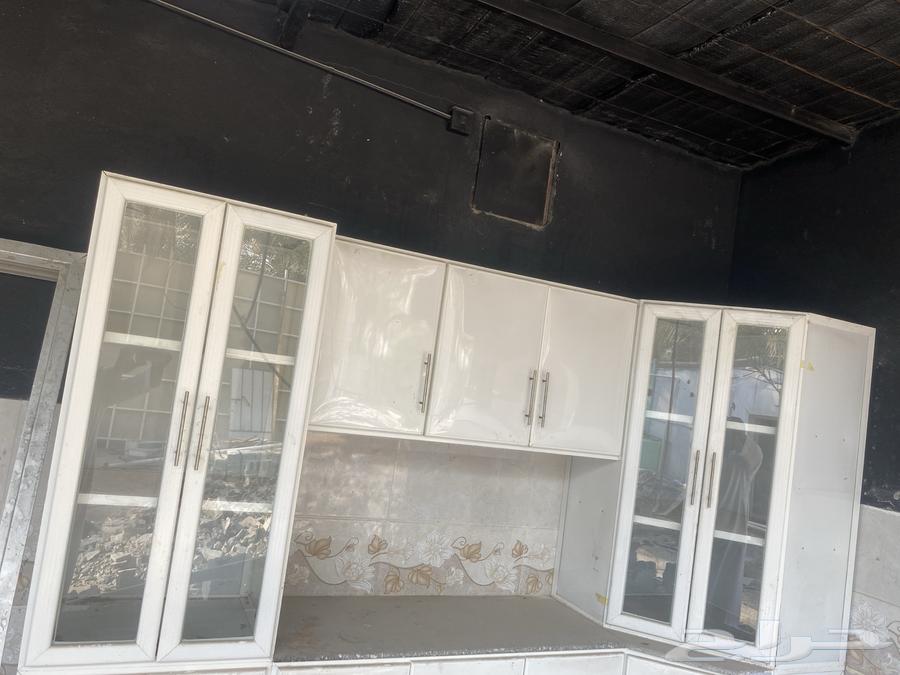 Ant64437894798339110