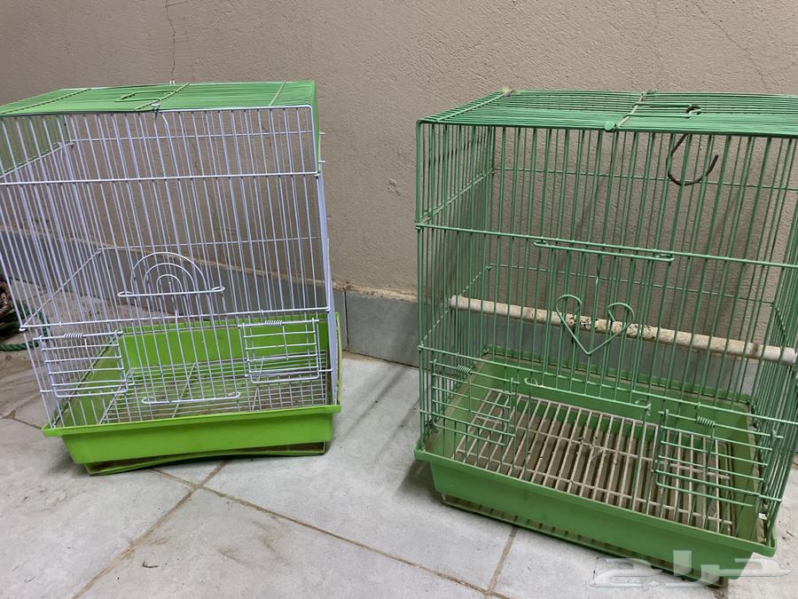 Bird cages64441828042883110