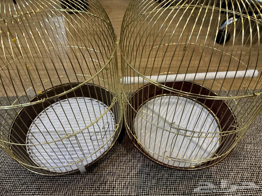 Two cages for 70 SAR, clean64437463315841110