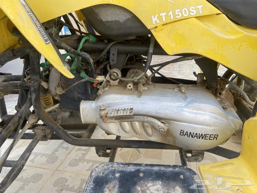 دباب سويدي64597471091585114