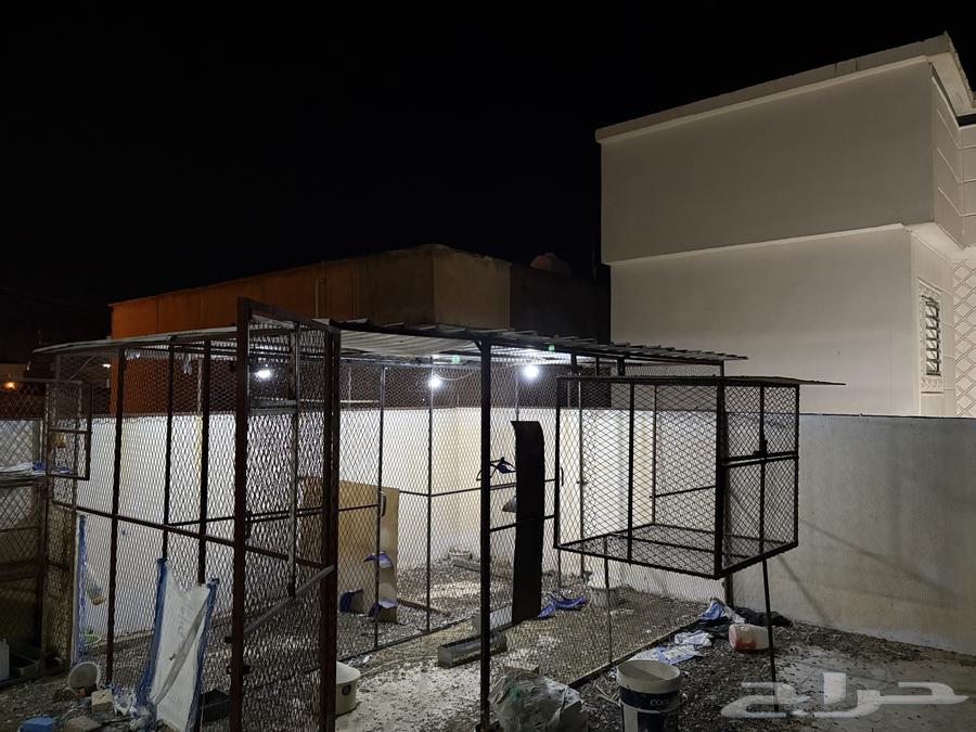 For sale mesh64441869280515110