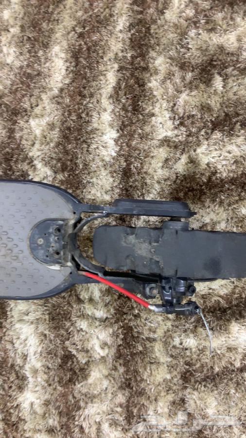 Electric scooter64437759947650110