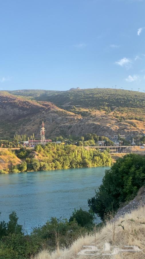 معلم انجلش E64437247934082110