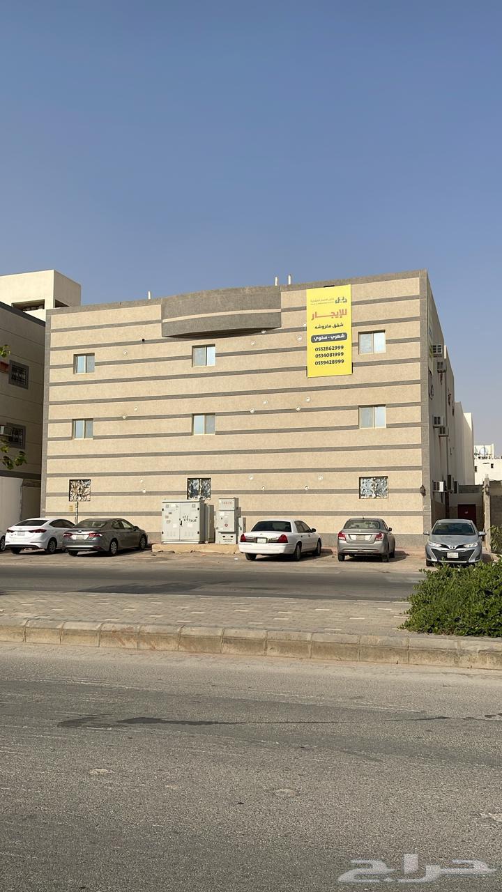 شقة للإيجار