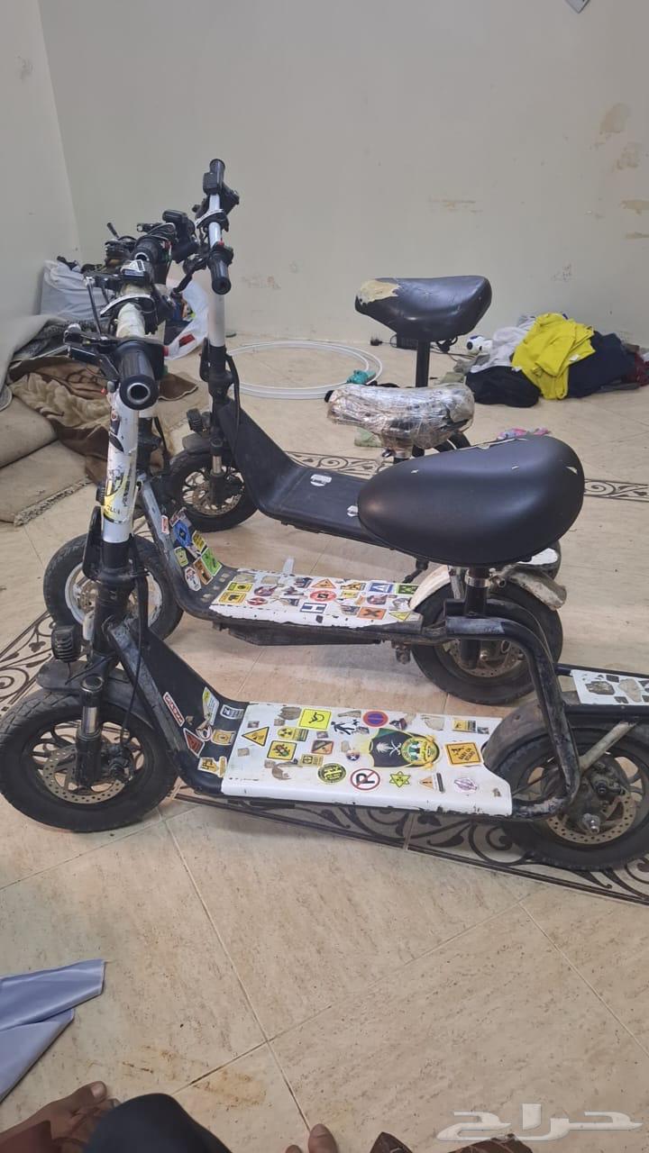3اسكوترات لا البيع من 50064435026822146111