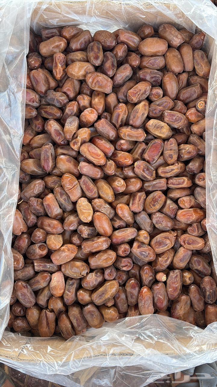 18 طن سري64438270266626110