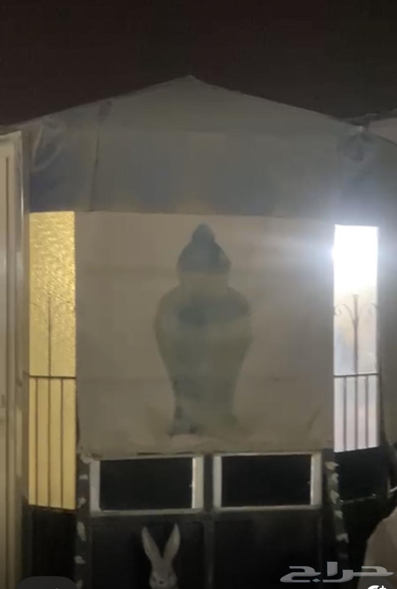 خيم للبيع مع كنب.64436159479427113