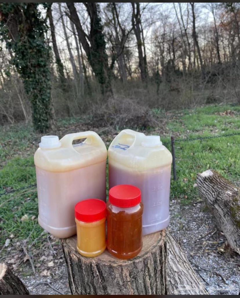 عسل بلدي64439486520323111