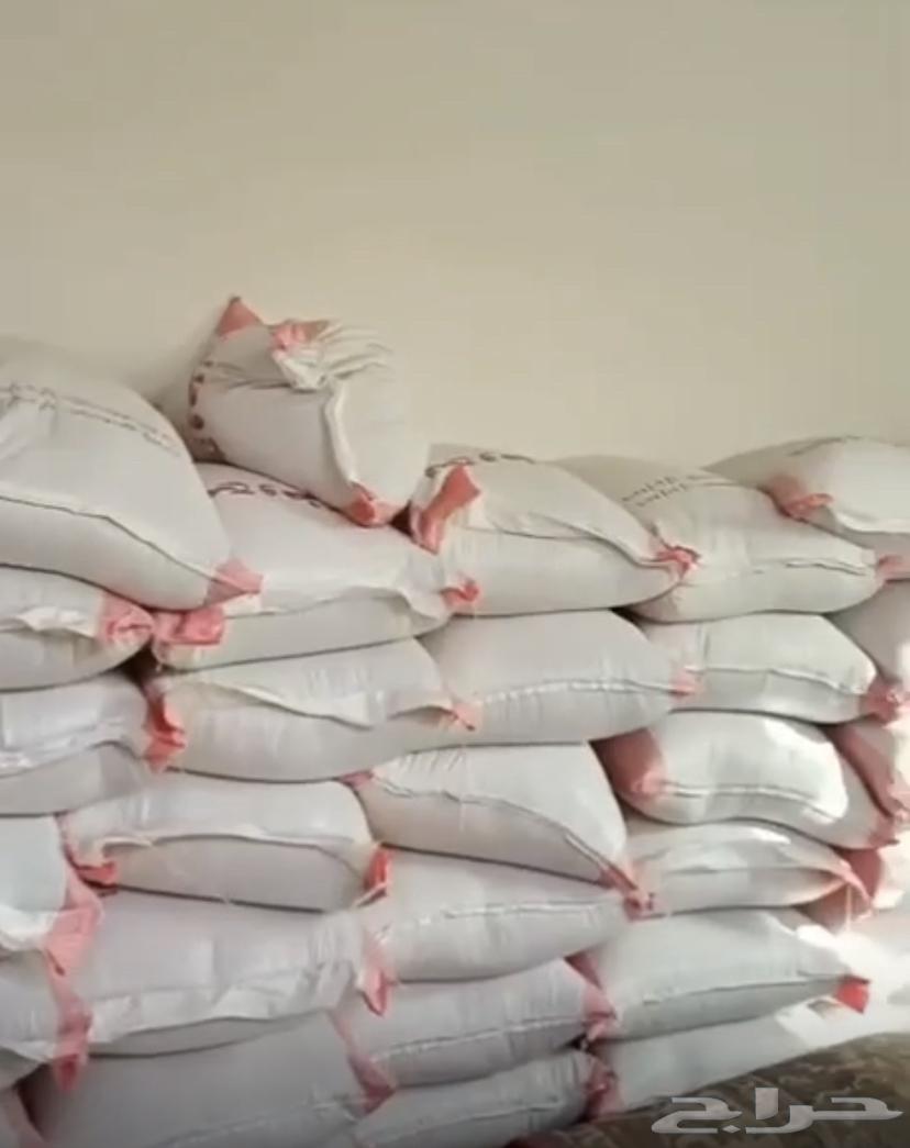 عيش صما عضو لم يرش بالكيماوي 60 كيس كل كيس 45 كيلو.64437032127746110