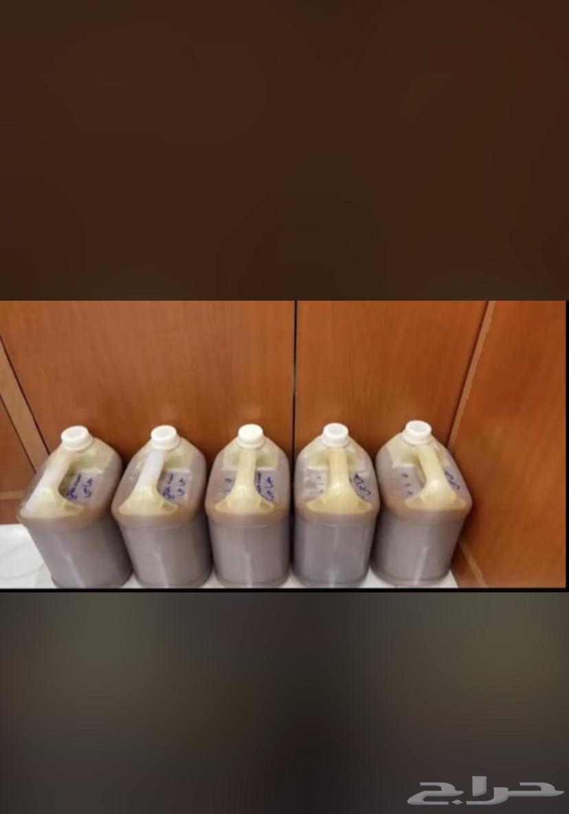 عسل بلدي64439486520323113